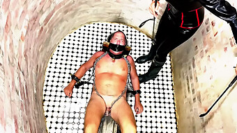 Kitten'S Femdom Humiliation: A Bdsm Slave'S Ordeal Continues