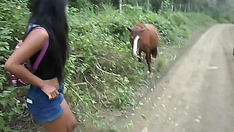 Adolescente De Perú A Ecuador Experimenta Polla De Caballo Para Creampie