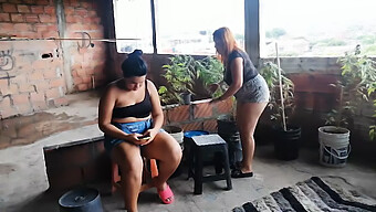 ¡tengo Sexo Duro Con Mi Madrastra Al Aire Libre En El Patio Trasero!