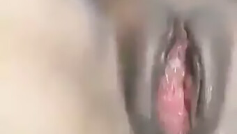 Wife Enjoys Anal Sex And Internal Ejaculation