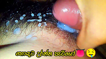 Hodata'S Big Cock Gets A Close-Up In This Homemade Sinhala Porn Video