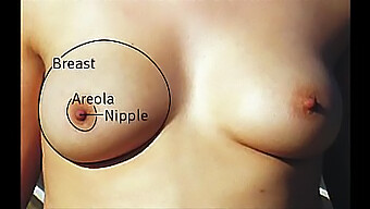 A Collection Of Big Natural Tits Of Various Types