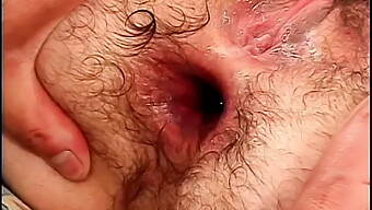 Hairy Buttocks Stretched Open For Penis Penetration