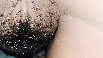 Toying With A Hairy Asian Cock While Wearing A Bikini