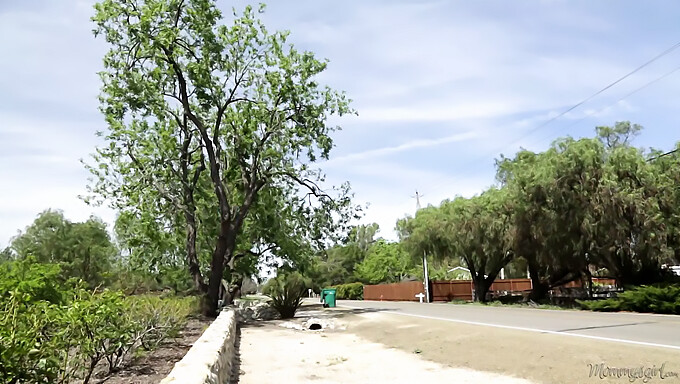 אישה מבוגרת ואישה צעירה עוסקות בפעילויות מיניות